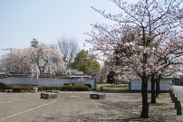 『入学式』の画像